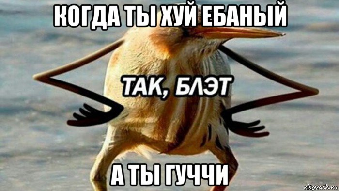 когда ты хуй ебаный а ты гуччи, Мем  Так блэт