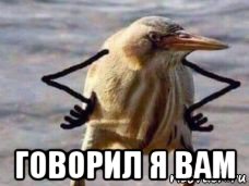  говорил я вам