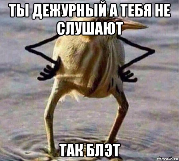 ты дежурный а тебя не слушают так блэт, Мем Так Блэт