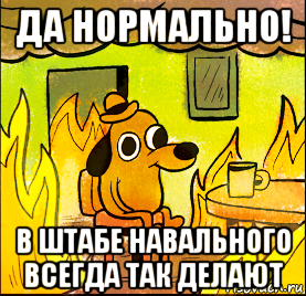 да нормально! в штабе навального всегда так делают
