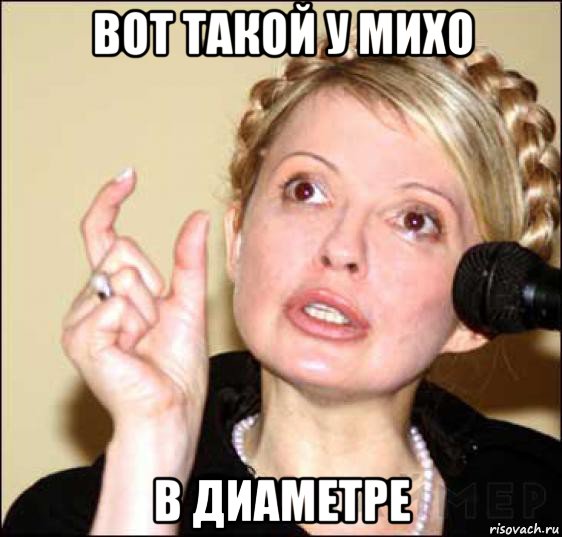 вот такой у михо в диаметре