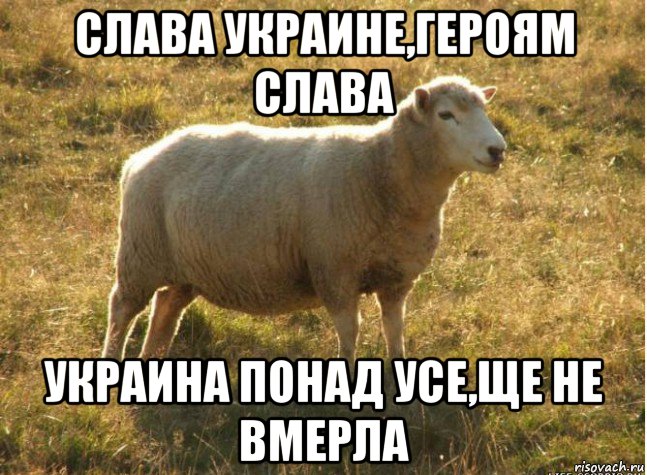 слава украине,героям слава украина понад усе,ще не вмерла, Мем Типичная овца