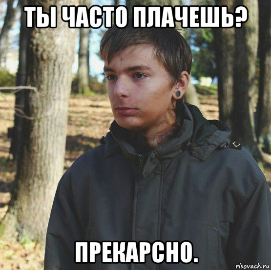 ты часто плачешь? прекарсно., Мем Типичный двачер легетимный