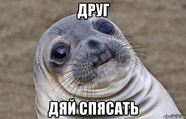 друг дяй спясать