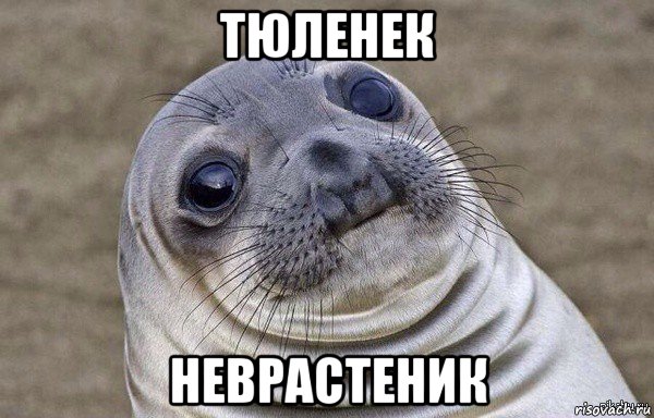 тюленек неврастеник