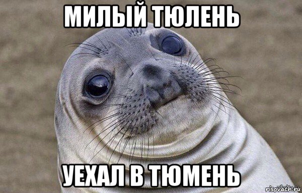 милый тюлень уехал в тюмень
