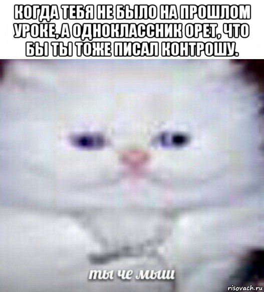 когда тебя не было на прошлом уроке, а одноклассник орет, что бы ты тоже писал контрошу. 