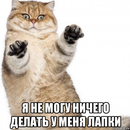  я не могу ничего делать у меня лапки