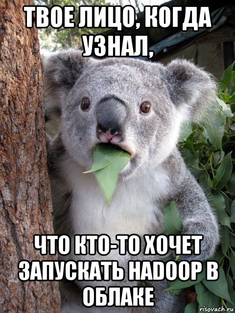 твое лицо, когда узнал, что кто-то хочет запускать hadoop в облаке
