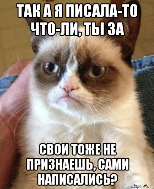 так а я писала-то что-ли, ты за свои тоже не признаешь, сами написались?, Мем Угрюмый кот