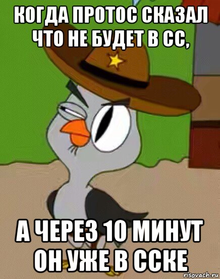 когда протос сказал что не будет в сс, а через 10 минут он уже в сске, Мем    Упоротая сова