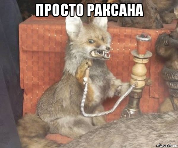 просто раксана 