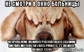 не смотри в окно больницы respublikinė vilniaus psichiatrijos ligoninė antras moteru skyrius parko g. 21, vilnius, vilnius 11205