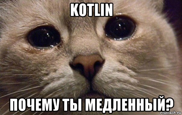 kotlin почему ты медленный?, Мем   В мире грустит один котик