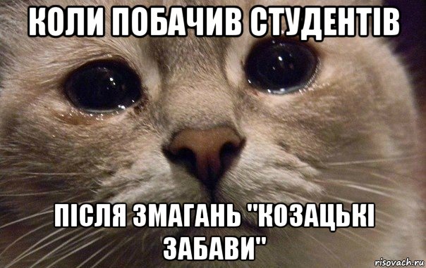 коли побачив студентів після змагань "козацькі забави", Мем   В мире грустит один котик