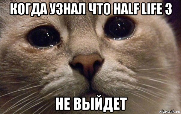 когда узнал что half life 3 не выйдет, Мем   В мире грустит один котик