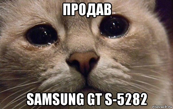 продав samsung gt s-5282, Мем   В мире грустит один котик