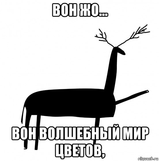 вон жо... вон волшебный мир цветов,