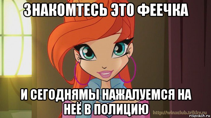 знакомтесь это феечка и сегоднямы нажалуемся на неё в полицию, Мем Винкс