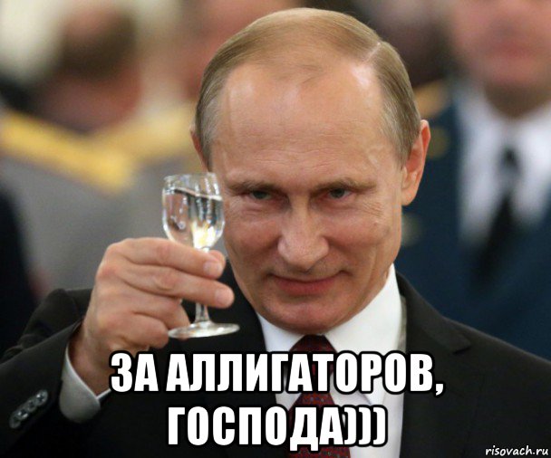  за аллигаторов, господа)))