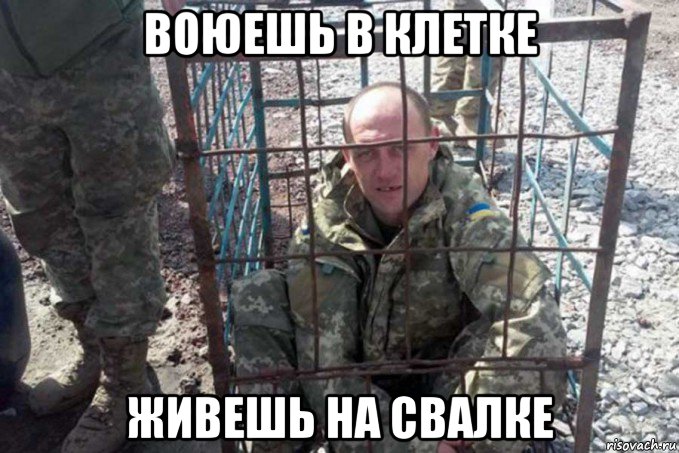 воюешь в клетке живешь на свалке