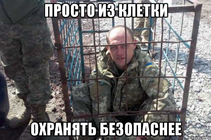 просто из клетки охранять безопаснее