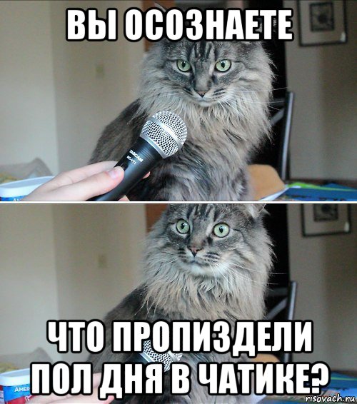 вы осознаете что пропиздели пол дня в чатике?