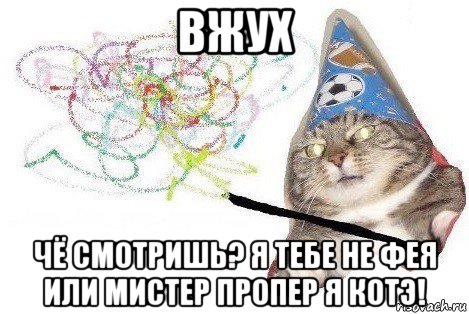 вжух чё смотришь? я тебе не фея или мистер пропер я котэ!, Мем Вжух мем