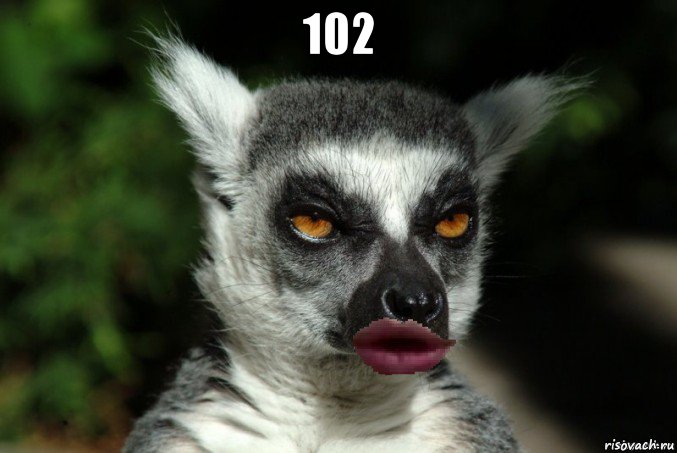 102 