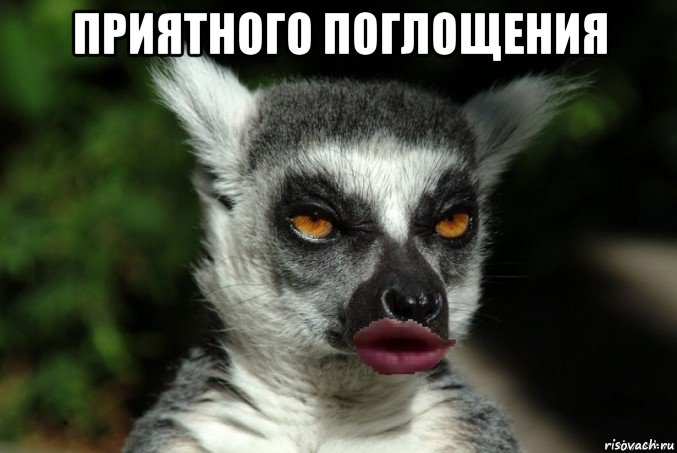 приятного поглощения 