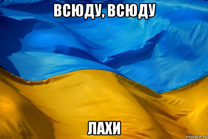 всюду, всюду лахи, Мем Я Украине