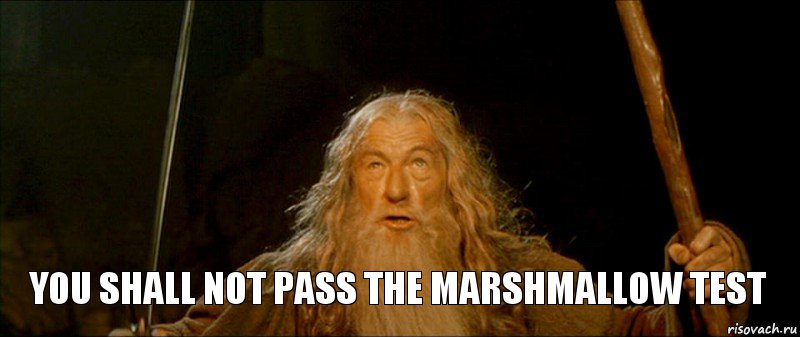 you shall not pass the Marshmallow Test