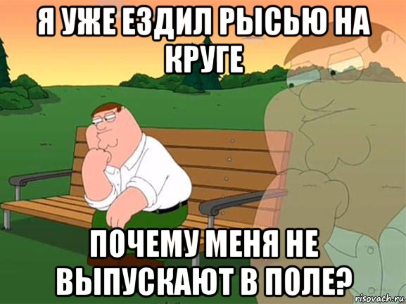 я уже ездил рысью на круге почему меня не выпускают в поле?, Мем Задумчивый Гриффин