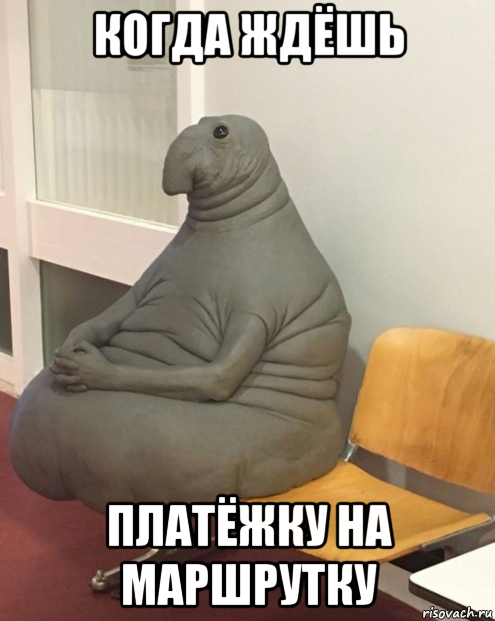 когда ждёшь платёжку на маршрутку