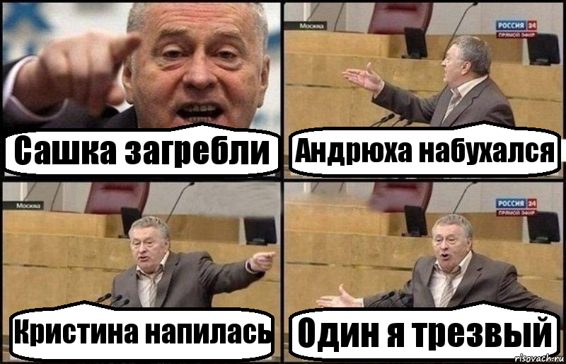 Сашка загребли Андрюха набухался Кристина напилась Один я трезвый, Комикс Жириновский