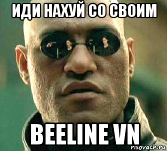 иди нахуй со своим beeline vn