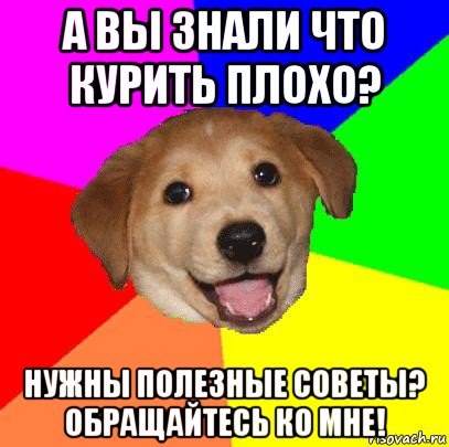 а вы знали что курить плохо? нужны полезные советы? обращайтесь ко мне!, Мем Advice Dog