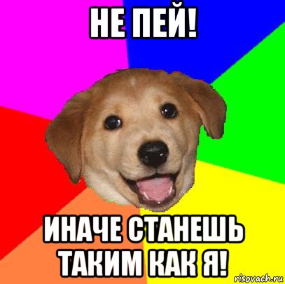 не пей! иначе станешь таким как я!, Мем Advice Dog