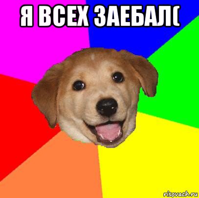 я всех заебал( , Мем Advice Dog