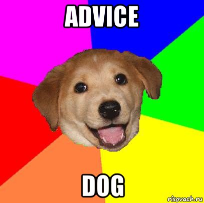 advice dog, Мем Advice Dog