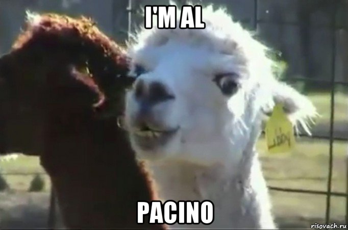 i'm al pacino