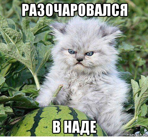 разочаровался в наде