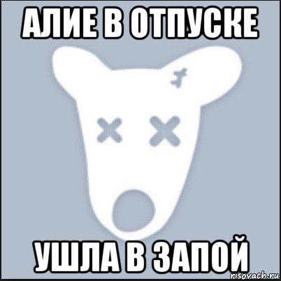 алие в отпуске ушла в запой, Мем Ава удалённой страницы вк