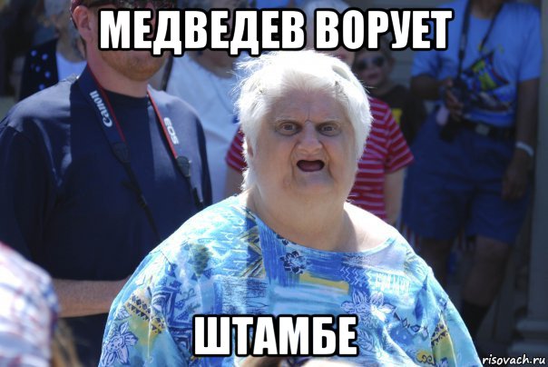 медведев ворует штамбе, Мем Шта (Бабка wat)