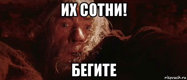 их сотни! бегите