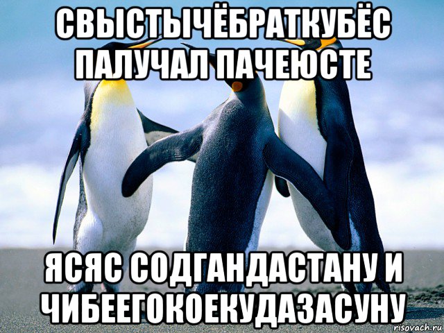 свыстычёбраткубёс палучал пачеюсте ясяс содгандастану и чибеегокоекудазасуну