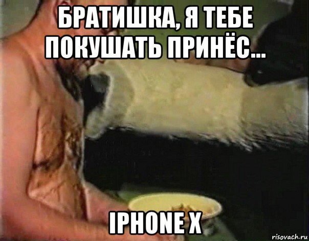 братишка, я тебе покушать принёс... iphone x