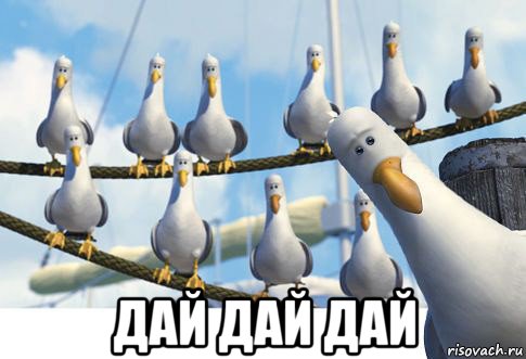  дай дай дай