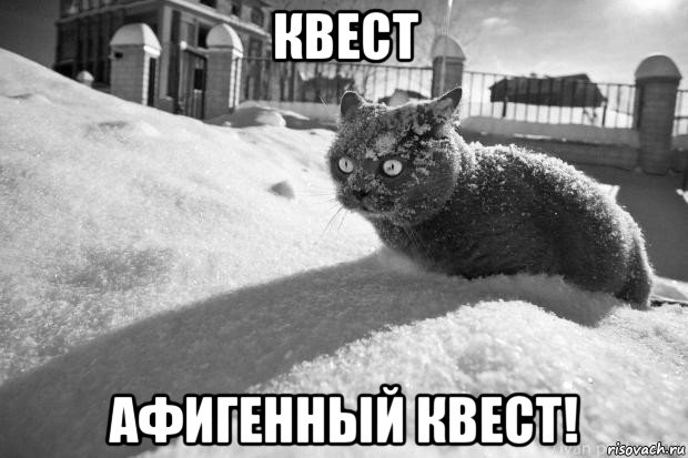 квест афигенный квест!