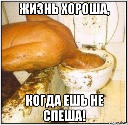 жизнь хороша, когда ешь не спеша!, Мем Дайвер